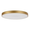 Rabalux TESIA LED stropné svietidlo 71038