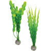 biOrb Plant Pack set zelené 29 cm