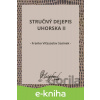 E-kniha Stručný dejepis Uhorska II - Franko Víťazoslav Sasinek