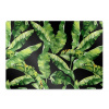 Podložka pod kolieskovú stoličku Podložka pod kolieskovú stoličku tropical leaf mwp-w0013751