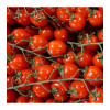 Paradajka Supersweet F1 - Solanum lycopersicum - Semená rajčiaka - 6 ks
