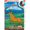 Lví král - Simba 8 - DVD
