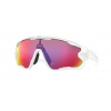 Oakley JAWBREAKER oo9290-05