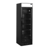 Tefcold Chladnička na nápoje - 345 L - 1,57 kWh | TEFCOLD CEV 435 CP BLACK