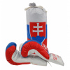 Detská boxovacia súprava Slovensko 2 - farebná