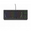 Mechanická klávesnica GENESIS Thor 230 TKL Hot Swap RGB Outemu Brown Black (NKG-2079)