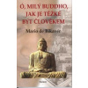 Ó, milý Buddho, jak těžké je.. - Mario de Bikaver