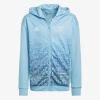 adidas MESSI FZ HD 164