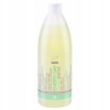 Spa Master šampón na vlasy na každodenné použitie 970 ml