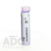 Rhus Toxicodendron gra.1 x 4 g 30CH