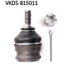 SKF Zvislý/nosný čap VKDS815011
