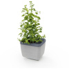 Gusta Garden GG-120F10