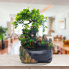 Záhradná fontána - Dekoratívna fontána Perfectlife 20x15x28 cm (Dekoratívna fontána perfektný život 20x15x28 cm)