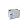 GETI 04250690 Baterie olověná 12V 55Ah pro elektromotory
