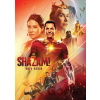 Shazam! Hnev bohov DVD