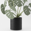 Monstera Magnetica – 3D Tlačená Dekorácia & Podložky pod Poháre Farba listov: zelená, Vyber typ kvetináča: Classic, Vyber farbu kvetináča: čierna