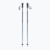 Sjezdové hole Rossignol Tactic Grey/black 2022/23 115 cm
