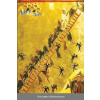 Ladder of Divine Ascent
