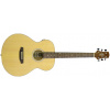 Ashton SL20EQ barva NTM (přírodní mat)