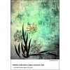 A2+ (43,2 x 63,5cm)/20 FOMEI Collection Cotton Smooth 320 (EY5592)