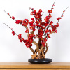 Dekoratívne izbové bonsaje Red Plum PN-37