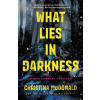 What Lies in Darkness - Christina Mcdonald