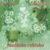 Studánko rubínko - Hradišťan, Pavlica Jiří