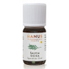 Hanus - Bylinné prípravky HANUS SILICA ŠALVIA ole 1x10 ml