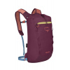 Osprey Daylite Cinch - Moody Burgundy 15 L