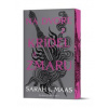 Na dvore z krídel a zmaru (Na dvore z tŕňov a ruží 3) - Sarah J. Maas