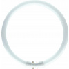 Kolesová žiarivka Philips Master TL5 Circular 40 W 2GX13