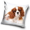 Carbotex Obliečka na vankúšik Psík Kavalier king Charles španiel