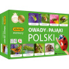 Gra memory Owady i pająki Polski (Hra)