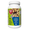 FASTION granul. nástraha proti mravcom 180 g