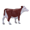 Mojo Hereford krava