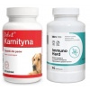 Dolfos Dolvit Carnitine 90 tabliet + LAB-V Immuno Hard – Posilnenie imunity pre psov a mačky 90 kapsúl