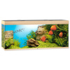 Akvárium set JUWEL Rio LED 450l dub