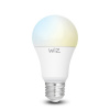 Smart osvetlenie - Vizuálna vízová LED žiarovka A60 6500K 9W E27 WiFi (Vizuálna vízová LED žiarovka A60 6500K 9W E27 WiFi)