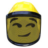 Protos Integral přilba ARBORIST ARBORMOJI s magnetickým páskem Smirk
