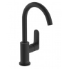 Hansgrohe 72536670