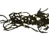 SOLIGHT LED vianočná reťaz, 3m, 20 LED, 3 x AA, teplé biele svetlo, zelený kábel