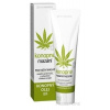 MedicProgress konopné mazanie 10% konopného oleja 100 ml