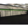 Forward Fitness Proton Rig