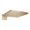 Hansgrohe Raindance E Hlavová sprcha, 30x30 cm, kefovaný bronz 26238140-HG