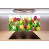 Panel do kuchyne Farebné tulipány 100x50 cm