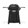 Weber Q2800N+ Premium Stand