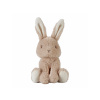 LITTLE DUTCH Králiček plyšový 15 cm Newborn Naturals