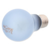 Repti Planet Daylight Neodymium 75W