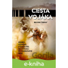 E-kniha Cesta vojáka - Michal Černý