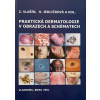 Praktická dermatologie v obrazech a schématech (Zdeněk Vlašín; Hana Jedličková)
